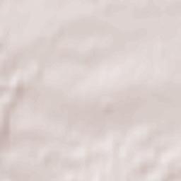 Olszanica Terrain Map