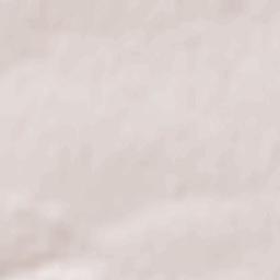 Poniatowa Terrain Map