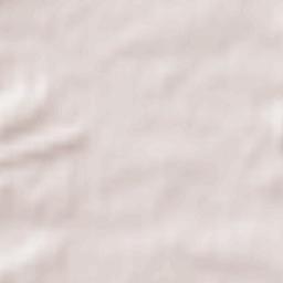 Powiat zgorzelecki Terrain Map