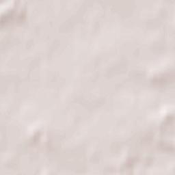 Trzcinica Terrain Map