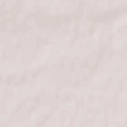 Bełżyce Terrain Map