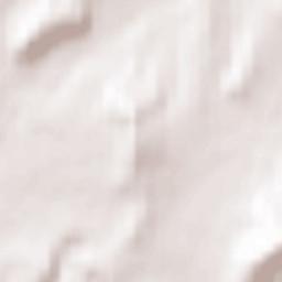 Zmeinogorsk Terrain Map