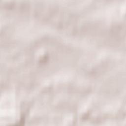 Pisarzowice Terrain Map