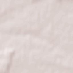 Strzelce Wielkie Terrain Map