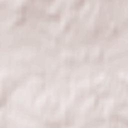 Stąporków Terrain Map