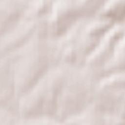 Four Marks Terrain Map