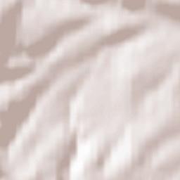 Bad Wildungen Terrain Map