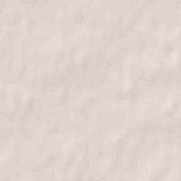 Novi Bilokorovychi Terrain Map