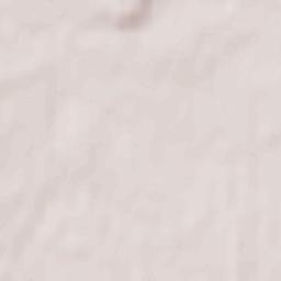 Talovaya Terrain Map