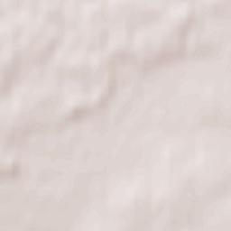 Radoszyce Terrain Map