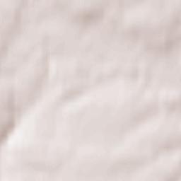 Wielka Wieś Terrain Map