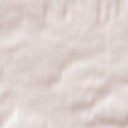 Wąchock Terrain Map