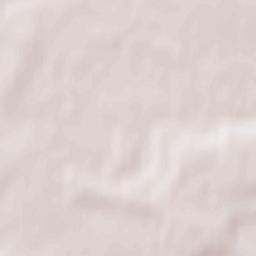 Powiat radomszczański Terrain Map