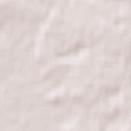 Novi Bilokorovychi Terrain Map