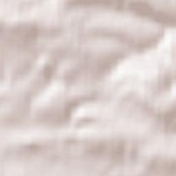 Powiat lwówecki Terrain Map