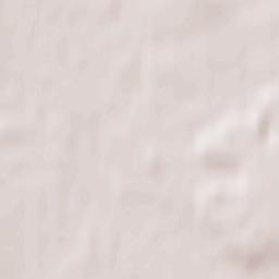 Gorzów Śląski Terrain Map