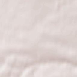 Rybczewice Terrain Map