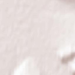 Novyy Zagan Terrain Map