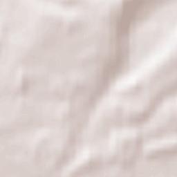 Colden Common Terrain Map