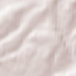 Hampshire Terrain Map