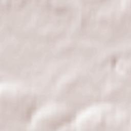 Petersfield Terrain Map