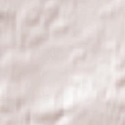 Petworth Terrain Map