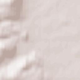 Paszowice Terrain Map