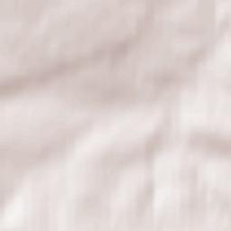 Łączna Terrain Map