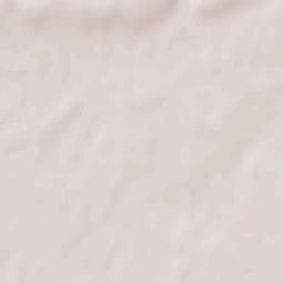 Ivankiv Raion Terrain Map