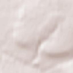 Chernyanskiy Rayon Terrain Map