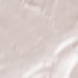 Sherborne Terrain Map