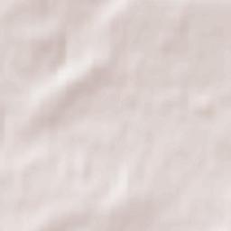 Bishops Waltham Terrain Map