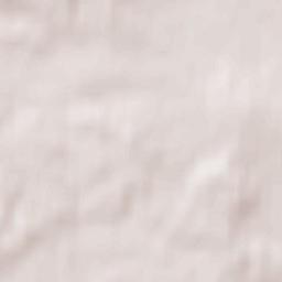 Łopuszno Terrain Map