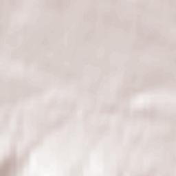 Bodzentyn Terrain Map