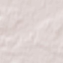 Bronitska Guta Terrain Map