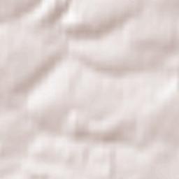 Bad Klosterlausnitz Terrain Map