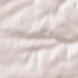 Tautenhain Terrain Map