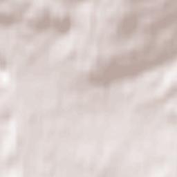 Bogatynia Terrain Map