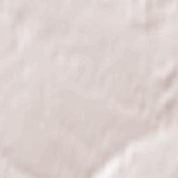 Powiat kraśnicki Terrain Map