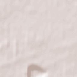 Zhupanivka Terrain Map