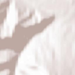 Ust’-Kan Terrain Map