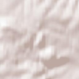 Rauschenberg Terrain Map