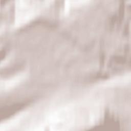 Friedewald Terrain Map