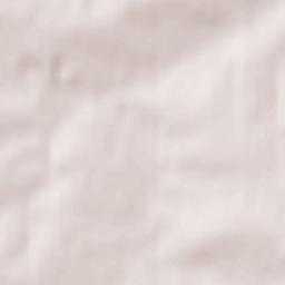 Oberwiera Terrain Map