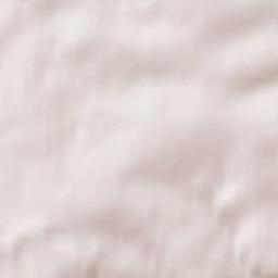 Waldenburg Terrain Map