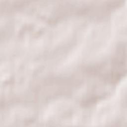 Wittgensdorf Terrain Map