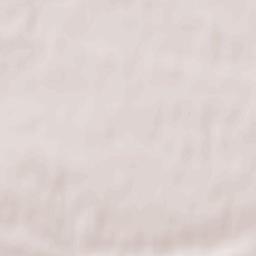 Horodło Terrain Map