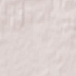 Kostopil’ Terrain Map