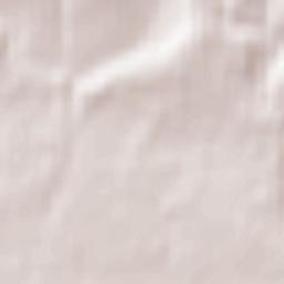 Fontwell Terrain Map