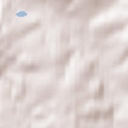 Neukirchen Terrain Map